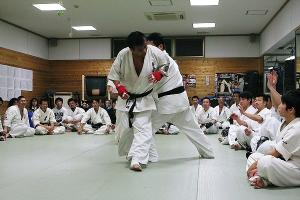 IMG 8948