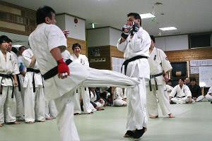 IMG 8950