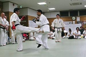 IMG 8951