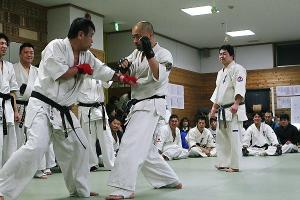 IMG 8953