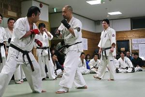 IMG 8954