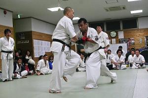 IMG 8955