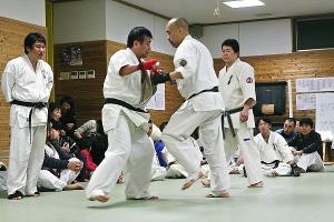 IMG 8958