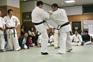 IMG 8961