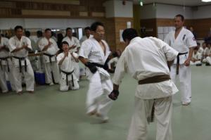 IMG 7466