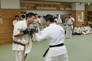 IMG 7467