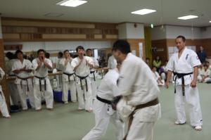 IMG 7468