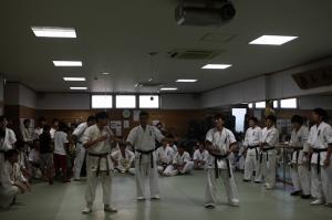 IMG 7482