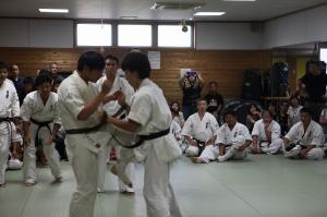 IMG 7483
