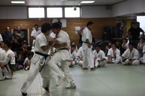 IMG 7484