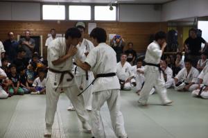 IMG 7485