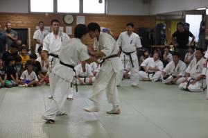 IMG 7486
