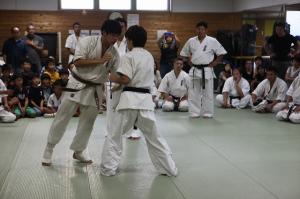 IMG 7487