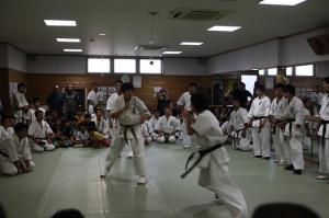 IMG 7488