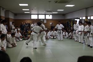 IMG 7489