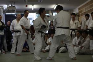 IMG 6634