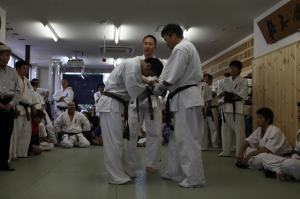 IMG 6648