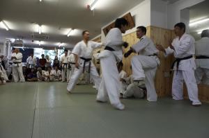 IMG 6653
