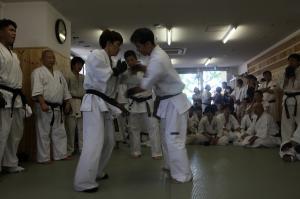 IMG 5728