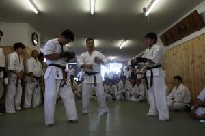IMG 5733
