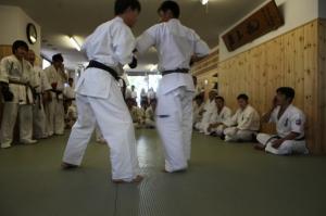 IMG 5747