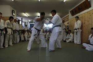 IMG 5755