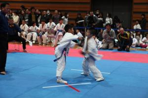 IMG 7978