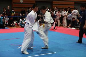 IMG 7981