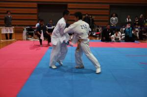 IMG 7982
