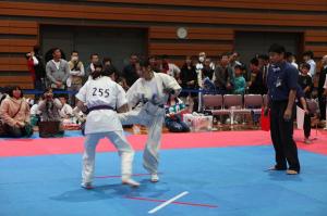 IMG 7985