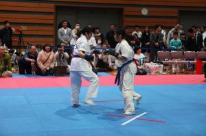 IMG 7986
