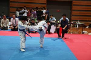 IMG 7987
