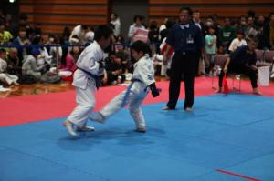 IMG 7990