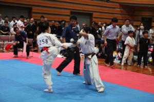 IMG 7995
