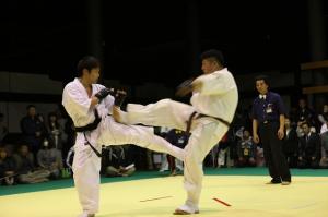 IMG 9658
