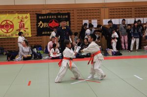 IMG 2725
