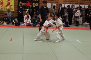 IMG 2728
