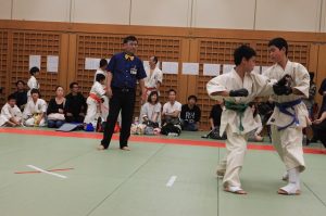IMG 2733