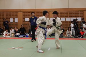 IMG 2735