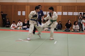 IMG 2737