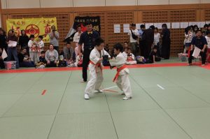 IMG 2740