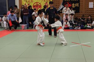 IMG 2743
