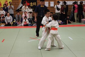 IMG 2746