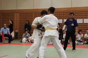 IMG 2747