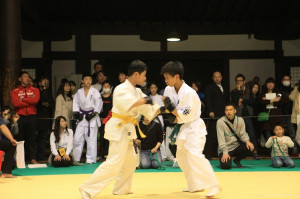 IMG 7184