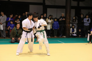 IMG 7186