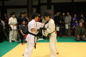 IMG 7187