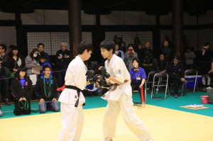 IMG 7191