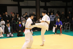 IMG 7192