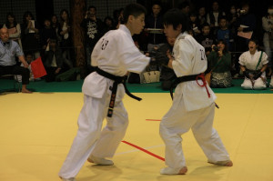 IMG 7193